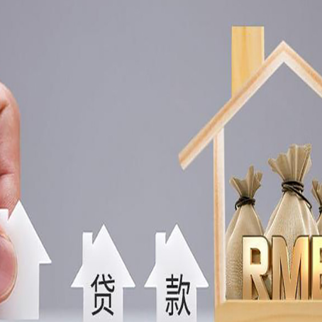 元宝贷款中介公司新渝启服怎么样